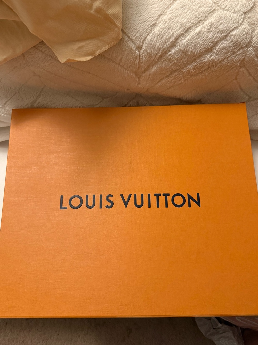 Louis Vuitton slouchy MM - Picture 9 of 14